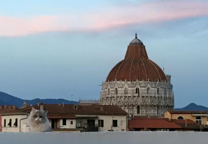 Alla Torre Con Vista Pisa Cameră foto